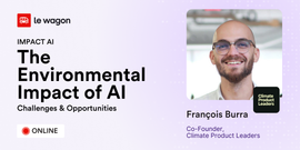 Impact AI: The Environmental Impact of AI