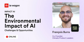 Impact AI: The Environmental Impact of AI